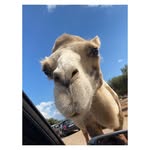Phillip Kerley - @phillipkerley - Instagram