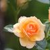 Philip Kidd - Facebook