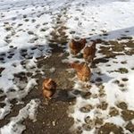 Phillip Kitts - @philkitts3416 - Instagram