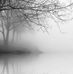 Phillip Lackey - Facebook