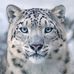 Phillip Lawton - Facebook