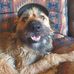 Phillip Lawton - Facebook