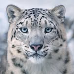Phillip Lawton - @palawton2001 - Instagram