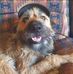 Phillip Lawton - Facebook