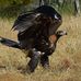 Phillip Lawton - Facebook