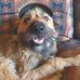 Phillip Lawton - Facebook