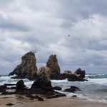 Phillip Lee - @withnature2100 - Instagram
