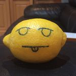 Phillip - @phillip_the_lemon - Instagram