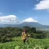 phillipleemangham - @phillipleemangham - TikTok