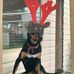 Phillip Manley - Facebook