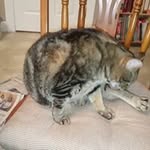 Phillip Ray  marler - @phillipraymarler - Instagram
