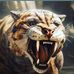 Phillip Marvin - Facebook