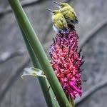 Philip Mcadams - @philipmcadams4319 - Instagram