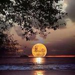 Phillip Mcdaniel - @phillipmcdaniel - Instagram