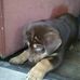 Phillip Mcnabb - Facebook
