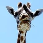 Phillip McWhorter - @prpmcwhorter - Instagram