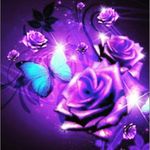 melerose.670 - @_phillipmelvina - Instagram