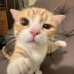 Philip Mercado - Facebook
