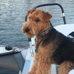 Phillip Meredith - @pcmeredith.mac - Instagram