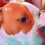 Phillip Mixon - @phillipmixon.2021 - Instagram