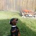 Phillip Mobley - Facebook