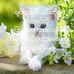 Phillip Moe - Facebook