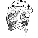 Phillip Morgan - @mushrooms_and_roses - Instagram