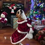 Phillip Morse - @phillip.morse.142 - Instagram