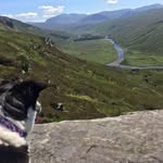 Philip Mullin - @mullin_philip - Instagram