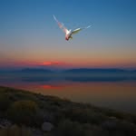 Philip North-Coombes - @philipnc_photo - Instagram