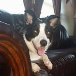 Phillip North - @phil7632 - Instagram