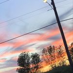 Phillip O’Neil - @oneilphillip483 - Instagram