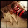phillip oneill - @phillip_oneill - TikTok