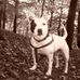Phillip Padgett - Facebook