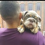 Phillip Paez - @paezphillip - Instagram
