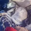 phillipparada928 - @phillipparada928 - TikTok