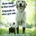 Phillip Paschall - Facebook