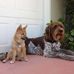 Phillip Paschall - Facebook
