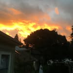 Phillip Pease - @plandtru - Instagram