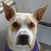 Phil Pedigo - Facebook