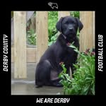 Phillip Spencer - @phillipspencer666 - Instagram