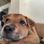 Phillip Phan - Facebook