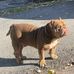 Phillip Propst - Facebook