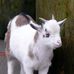 Phillipp Propst - Facebook