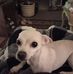 Phillip Rader - Facebook
