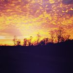 Phillip Randall Clark - @phillipoftheclarks - Instagram