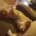 Phillip Rector - Facebook