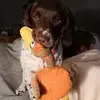 philliprees7 - @philliprees7 - TikTok