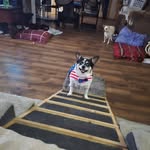 Phillip Rush - @phillip.rush.34 - Instagram