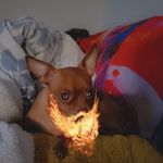 Phillip Rushing - @philliprushing7 - Instagram